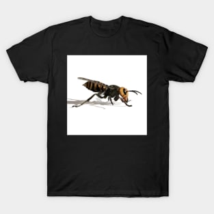 Murder Hornet T-Shirt